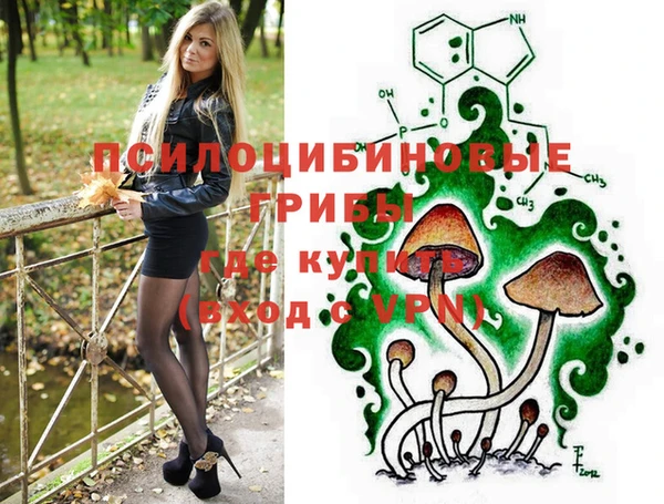 дурь Слюдянка