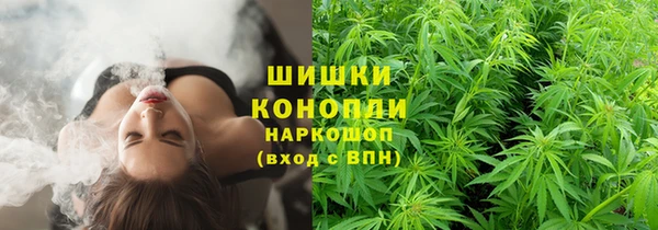 2c-b Снежинск